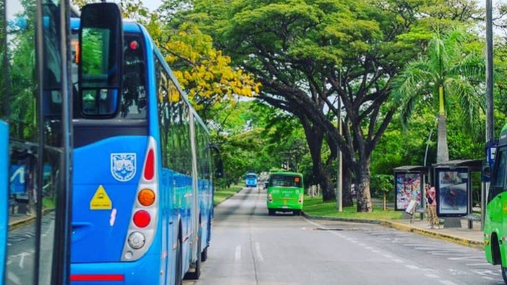 Buses del Mio transitando por las rutas de la quinta